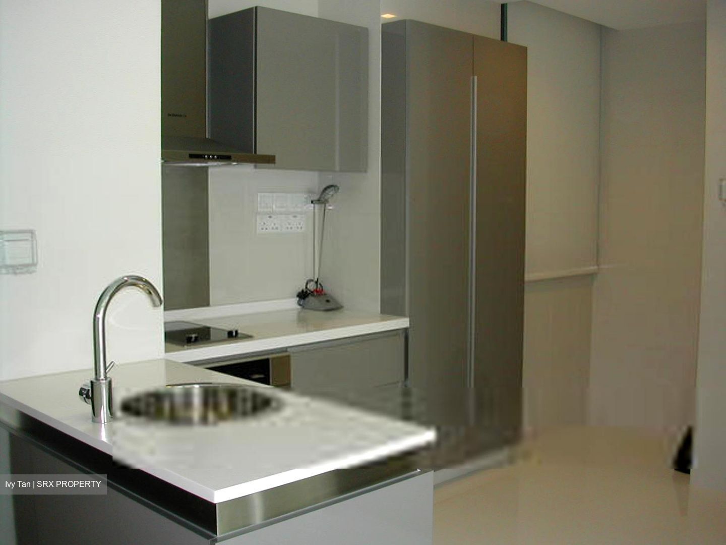 The Suites At Central (D9), Condominium #370595271